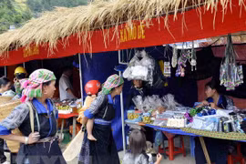 Vietnam promueve comercio en zonas remotas y montañosas
