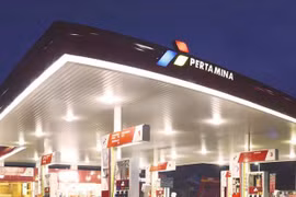 Empresa indonesia por destinar fondo multimillonario para desarrollar energías renovables
