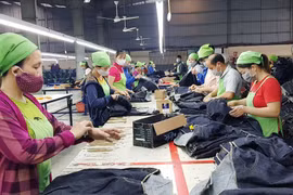 Ciudad Ho Chi Minh respalda a empresas y trabajadores afectados por el COVID-19
