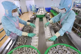 Ingresa Vietnam fondo multimillonario por exportación de productos agropecuarios y silvícolas