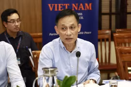 Vietnam cumple el papel como miembro del Consejo de Seguridad de ONU