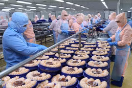 Provincia vietnamita supera objetivo anual de producción pesquera