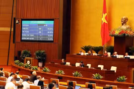 OIT aprecia paso importante hacia eliminación de trabajo forzoso en Vietnam