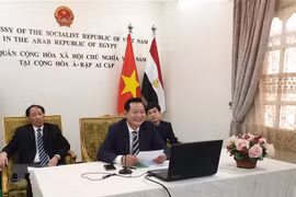 Realizan en Egipto seminario en línea sobre el Presidente Ho Chi Minh