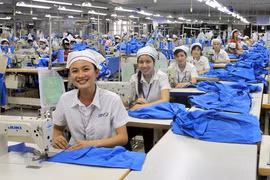 Emiten en Vietnam plan sobre establecimiento de relaciones laborales armoniosas