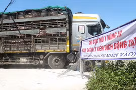 Vietnam pone en cuarentena cerdos importados de Tailandia