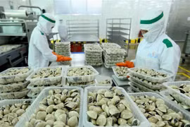 Exportaciones de Vietnam aumentan 4,2 por ciento