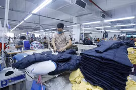 Aumenta en Vietnam número de firmas reactivadas