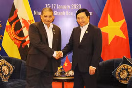 Vietnam y Brunei potencian nexos de asociación integral