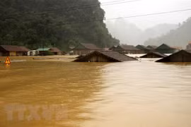 Cruz Roja de Vietnam brinda asistencia urgente a afectados por inundaciones 