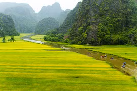 Pospone provincia vietnamita de Ninh Binh inauguración del Año Nacional de Turismo 2020