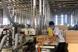 Efectúan en Vietnam reunión en línea sobre plan de acción para implementar el EVFTA