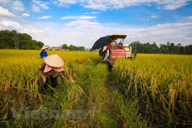 Hanoi por estimular el progreso de la economía agrícola