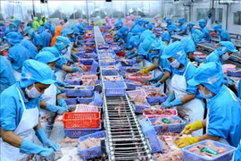 Exportadores de mariscos de Vietnam mantienen la confianza pese a impacto del coronavirus