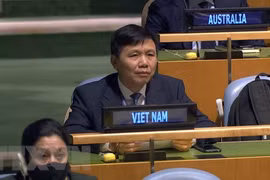 Corrobora Vietnam apoyo a fomento de lazos entre órganos de ONU