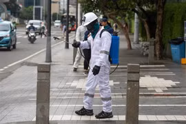 Recomiendan a vietnamitas en el exterior cumplir con medidas preventivas contra el COVID-19
