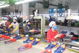 Provincia vietnamita de Vinh Phuc implementa acuerdo EVFTA de manera efectiva