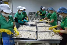 Vietnam ingresa casi dos mil millones de dólares por ventas de frutas y vegetales