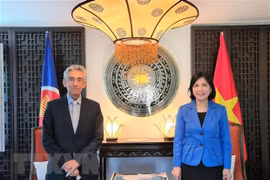 Vietnam fortalece cooperación con Organización Centro Sur