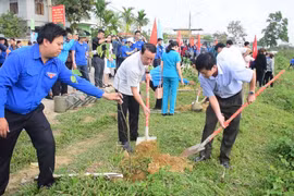 Juventud de Hanoi responde activamente a iniciativa del Domingo Verde