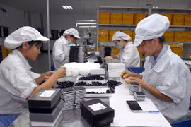 EVFTA pone a prueba capacidad de minoristas vietnamitas