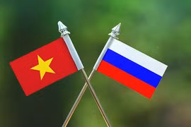 Asamblea Legislativa de San Petersburgo agradece apoyo de comunidad vietnamita ante epidemia