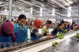 Impulsan agenda de cooperación entre Argentina y ASEAN