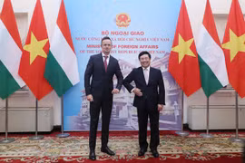 Vietnam y Hungría cooperan en el sector financiero