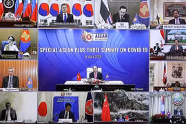 ASEAN y socios discuten medidas específicas contra COVID-19