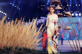 Proponen reconocer ‘Ao dai’ de Vietnam como Patrimonio Cultural Intangible de la Humanidad