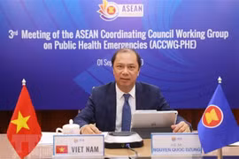 Vicecanciller vietnamita asiste a reuniones de ASEAN 