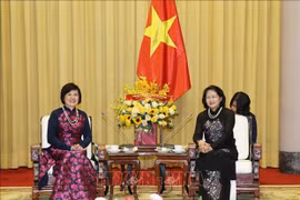 Elogia vicepresidenta de Vietnam actividades del Grupo de Mujeres de Comunidad de ASEAN