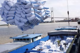 Unión Europea anuncia cuotas de importación para productos agropecuarios de Vietnam