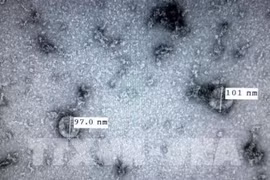 Vietnam logra recrear nuevo coronavirus en laboratorio
