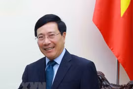 Comparte Vietnam experiencias en lucha antiepidémica con la Alianza para el Multilateralismo