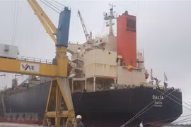 Aumenta volumen de carga a través de puertos marítimos de Vinalines