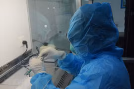 Vietnam sin nuevo caso de COVID-19 en las últimas 36 horas 