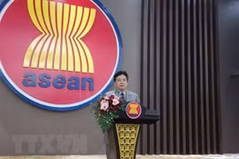 Destacan lazos ASEAN- China en la recuperación económica y lucha contra la pandemia 