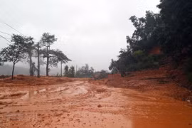 Logran acceso a escenario de deslave grave en Vietnam 