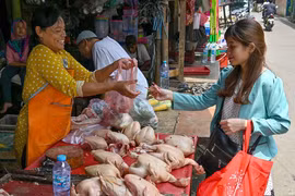 ASEAN Post sugiere medidas para evitar crisis alimentaria causada por el COVID-19