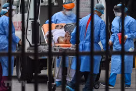 Camboya registra 15 nuevos casos del COVID-19
