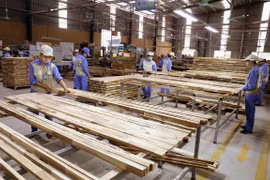 Analizan progreso de la producción maderera de Vietnam en contexto del COVID-19