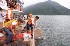 Vietnam proyecta plan para protección y explotación de recursos acuáticos