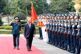 Visita premier de Vietnam a Fuerza de Defensa Aérea-Antiaérea 