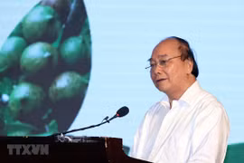 Premier de Vietnam exige mayores esfuerzos para garantizar cultivo eficiente de macadamia