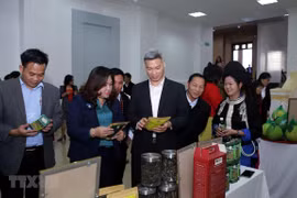 Promoverán los valores culturales únicos de Lai Chau en Hanoi