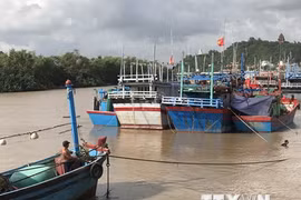 Tifón Goni avanza hacia la costa vietnamita