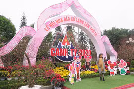 Inauguran Festival de flores de durazno en la provincia vietnamita de Lang Son