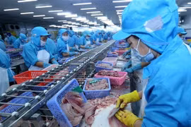 Exportaciones acuícolas de Vietnam podrían llegar casi nueve mil millones de dólares