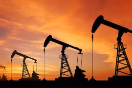 Indonesia busca impulsar exportaciones a Organización para la Cooperación Islámica
